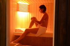 le sauna